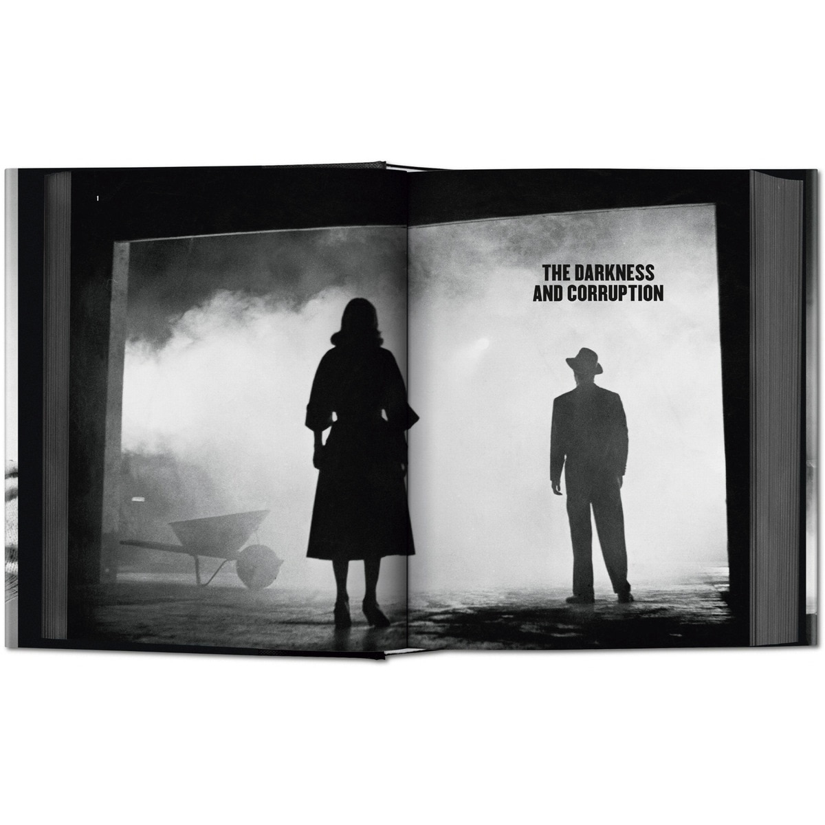 Film Noir (Capa dura) 7
