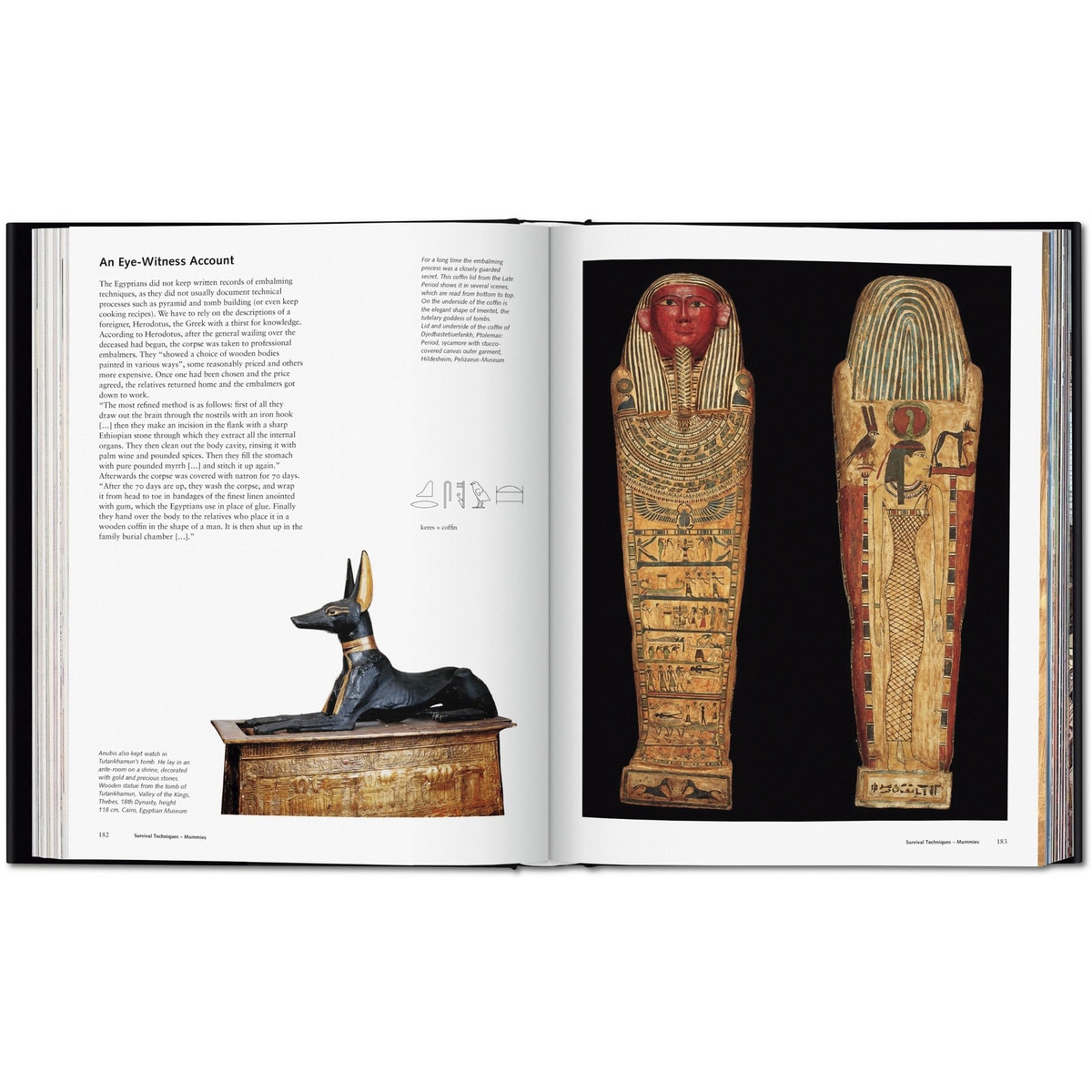 Ägypten. Menschen, Götter, Pharaonen (Capa dura) 8