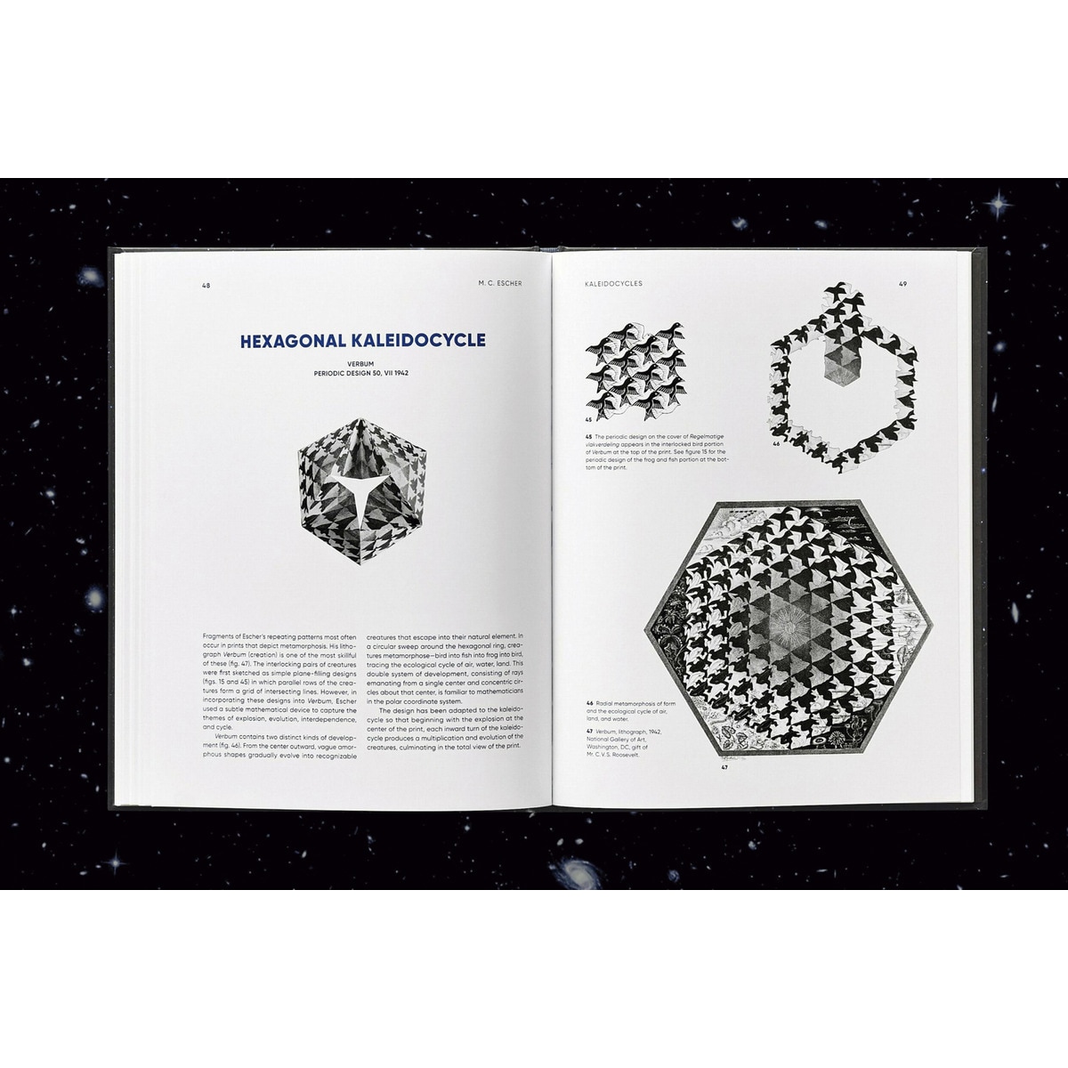 M.C. Escher. Kaleidozyklen 16