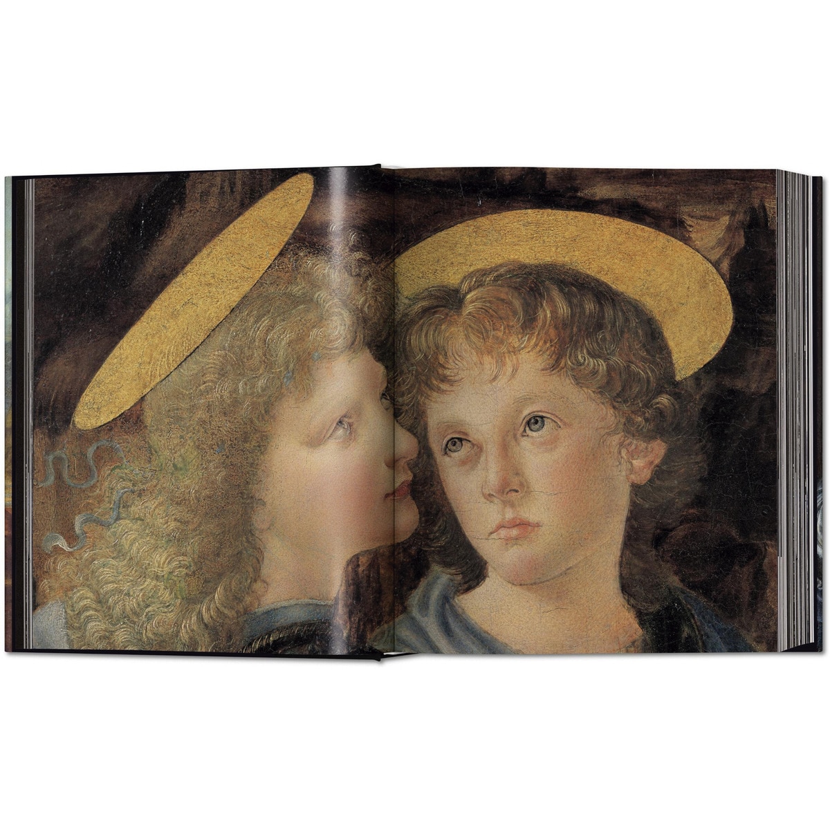 Leonardo. Sämtliche Gemälde und Zeichnungen (Capa dura) 5