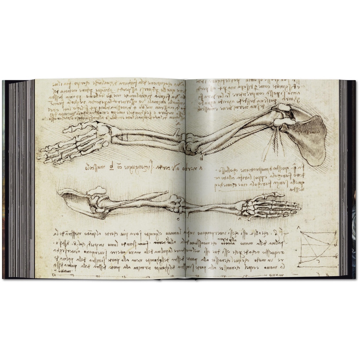 Leonardo. Sämtliche Gemälde und Zeichnungen (Capa dura) 8
