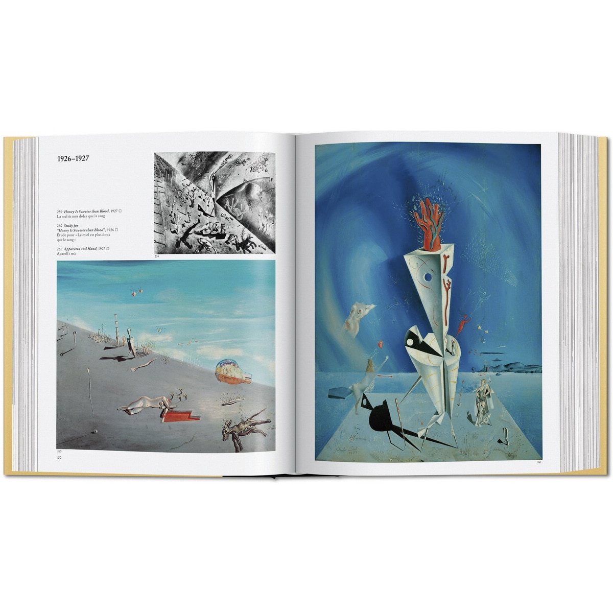 Dalí. L'&uvre peint (Capa dura) 6