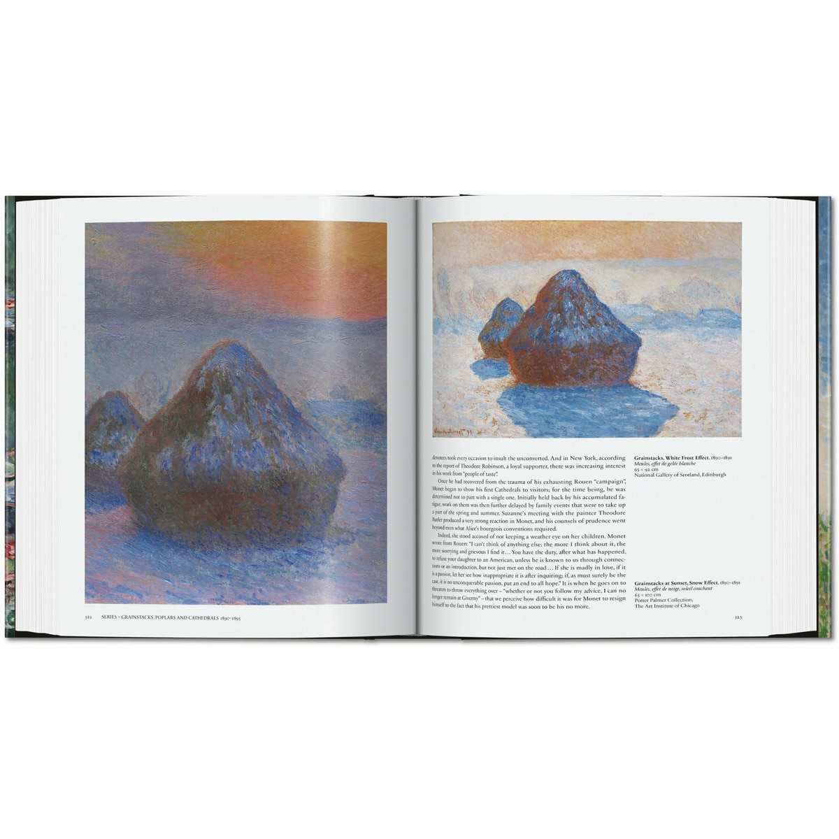 Monet. Le Triomphe de l'Impressionnisme (Capa dura) 9