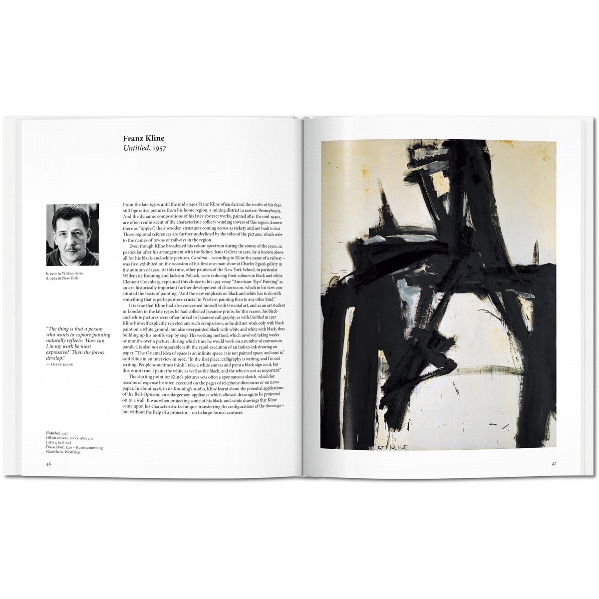 Expressionnisme abstrait (Capa dura) 2