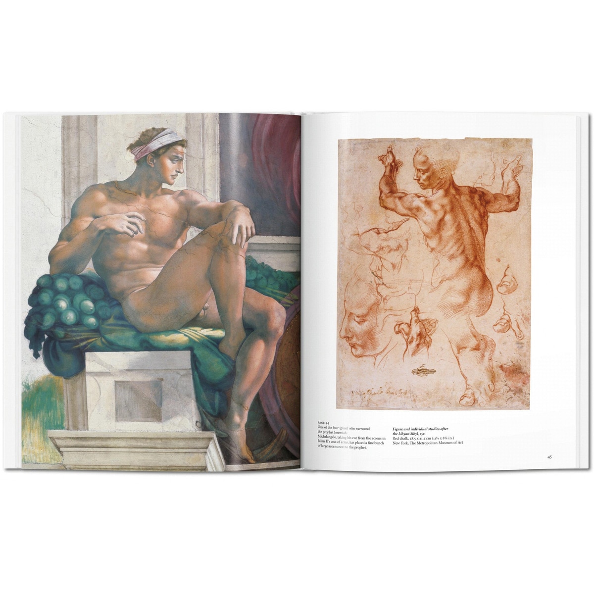 Michelangelo (Capa dura) 7