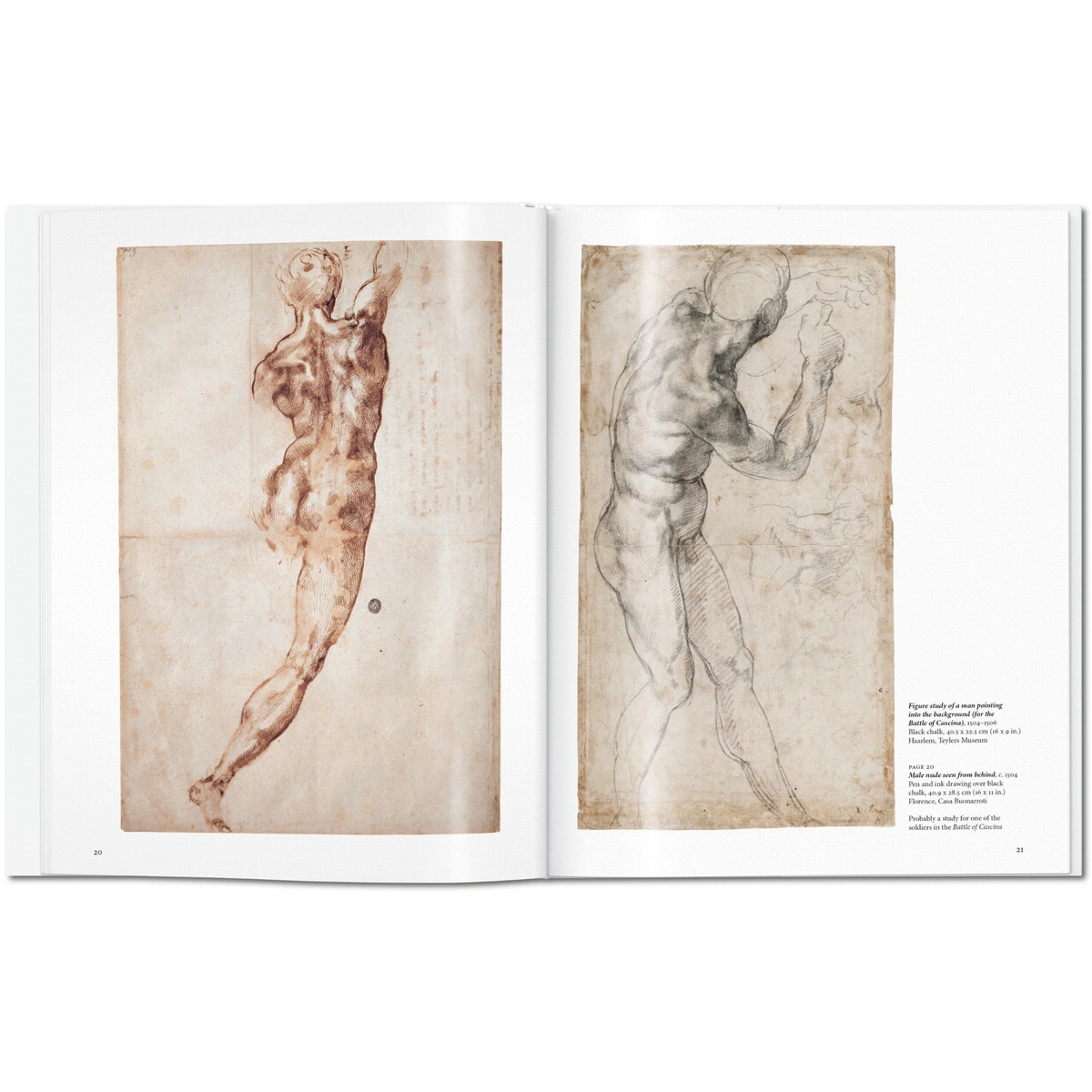 Michelangelo (Capa dura) 3