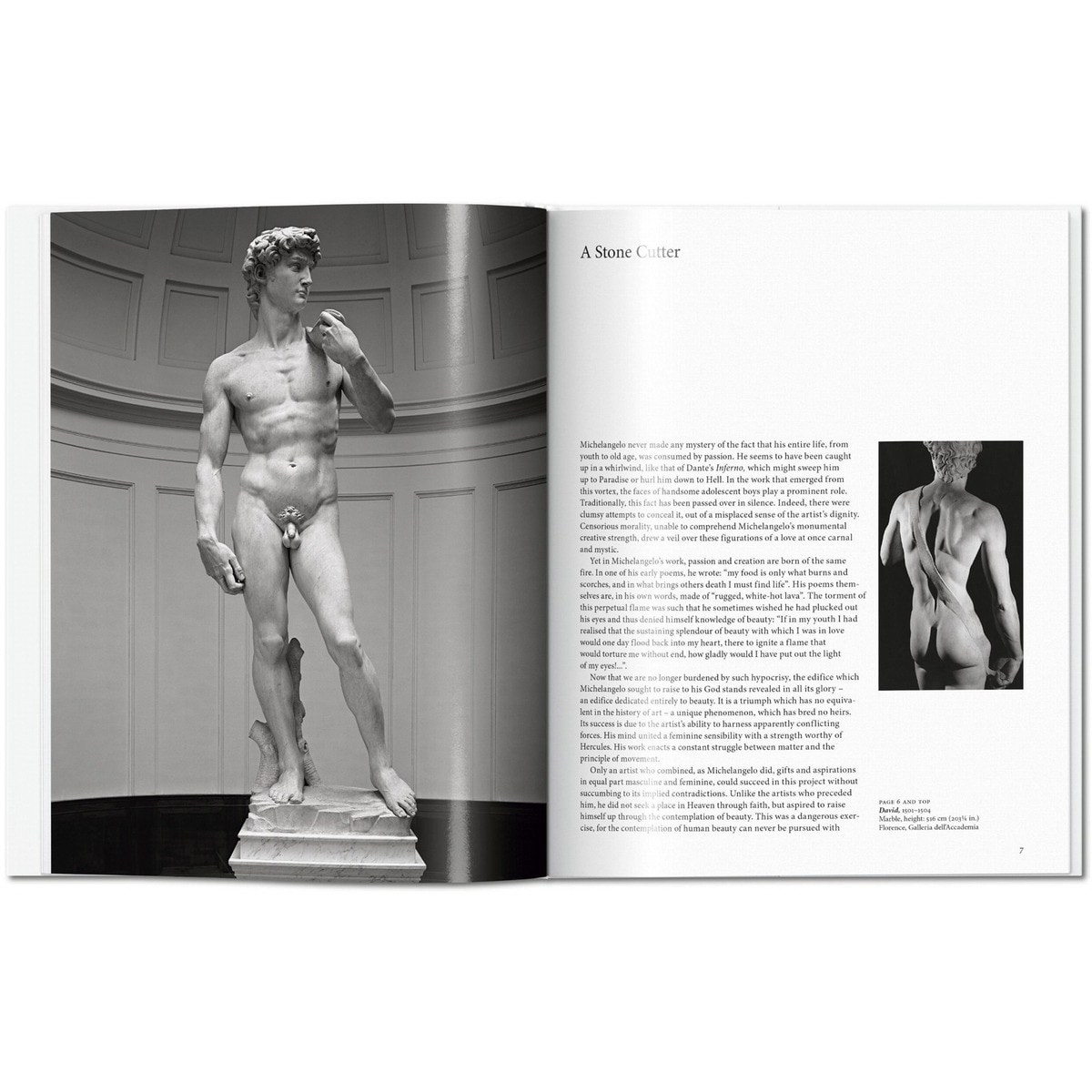 Michelangelo (Capa dura) 2