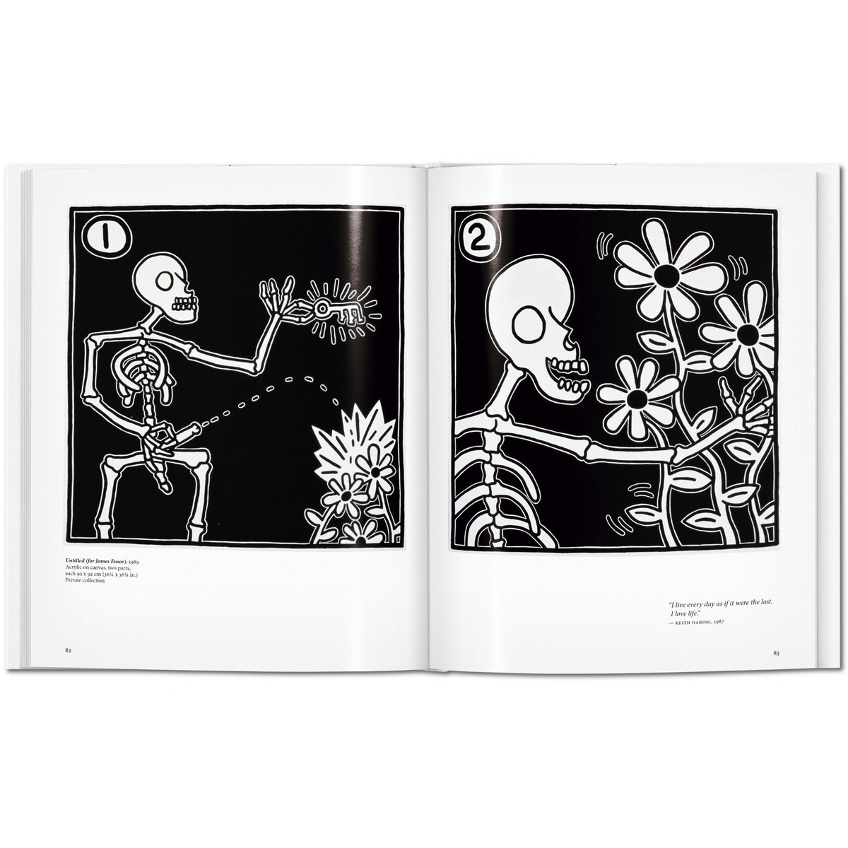 Haring (Capa dura) 5