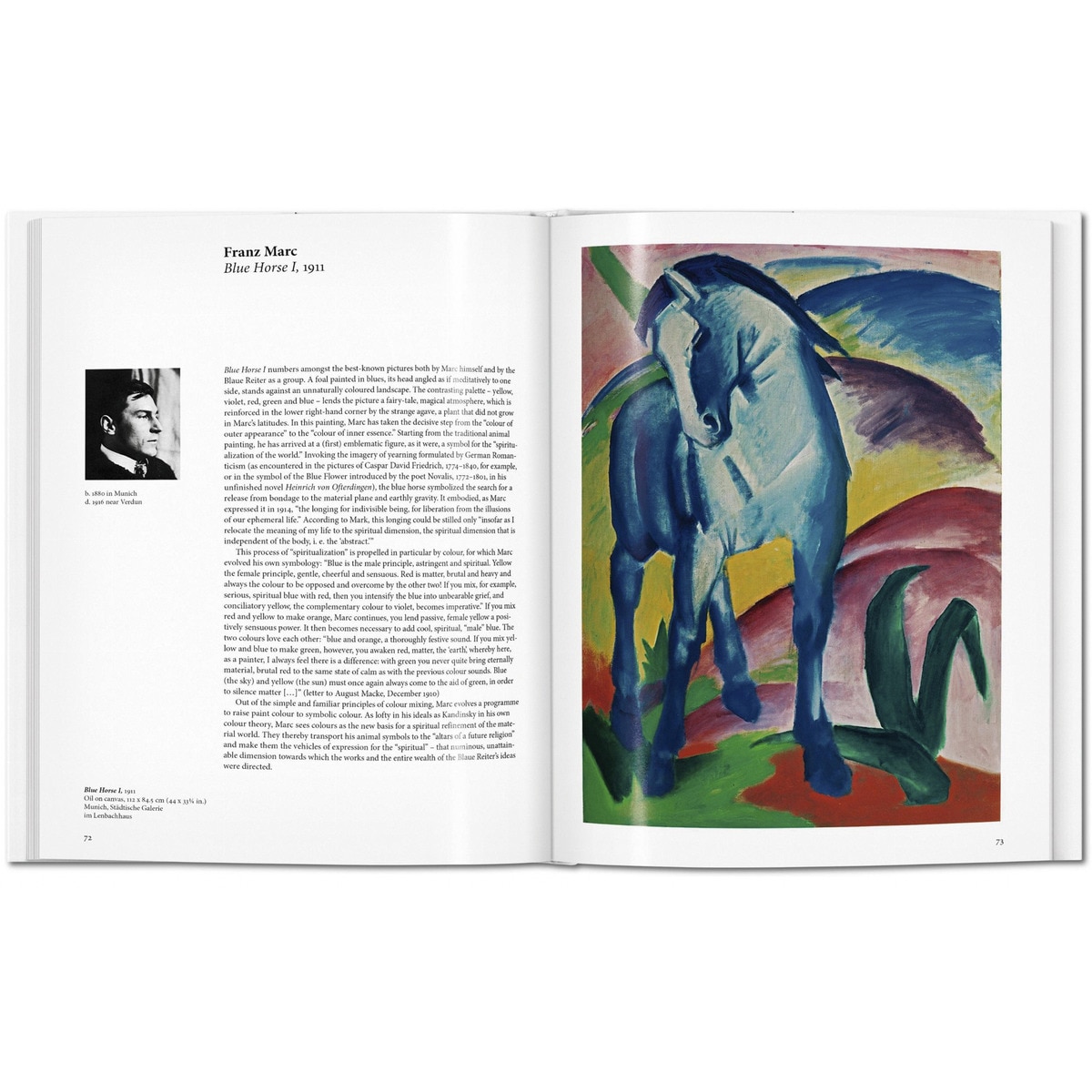 Der Blaue Reiter (Capa dura) 5