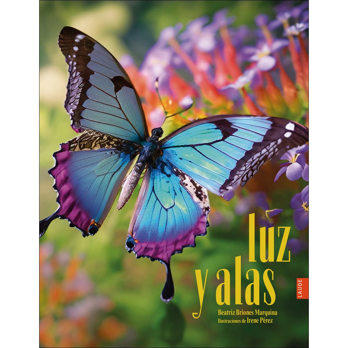 Luz y alas 1
