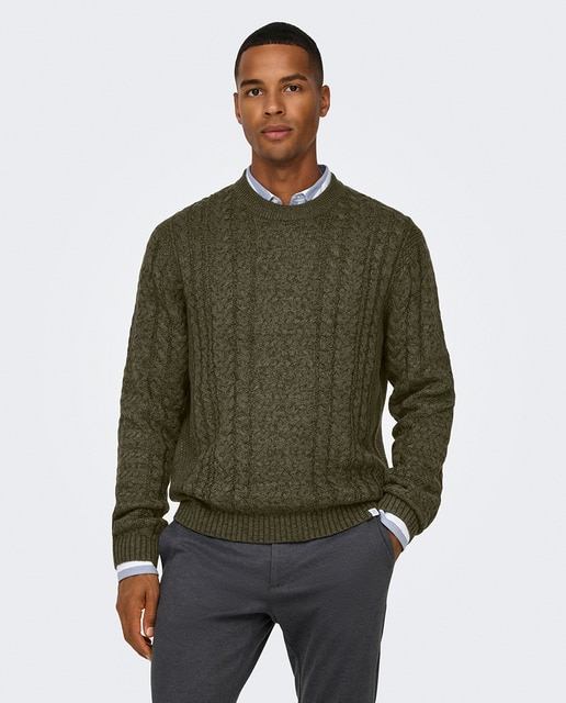 Imagen 0 de Jersey de hombre regular fit de punto