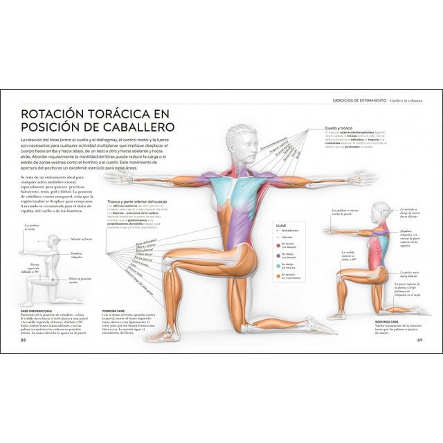 Estiramientos: Potencia tu flexibilidad, mantente activo y evita lesiones (Capa mole) 5