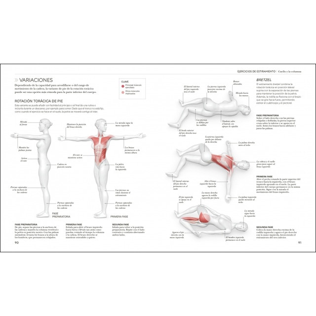 Estiramientos: Potencia tu flexibilidad, mantente activo y evita lesiones (Capa mole) 2