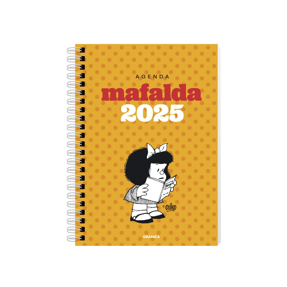Mafalda 2025, Anillada Módulos Amarilla 1