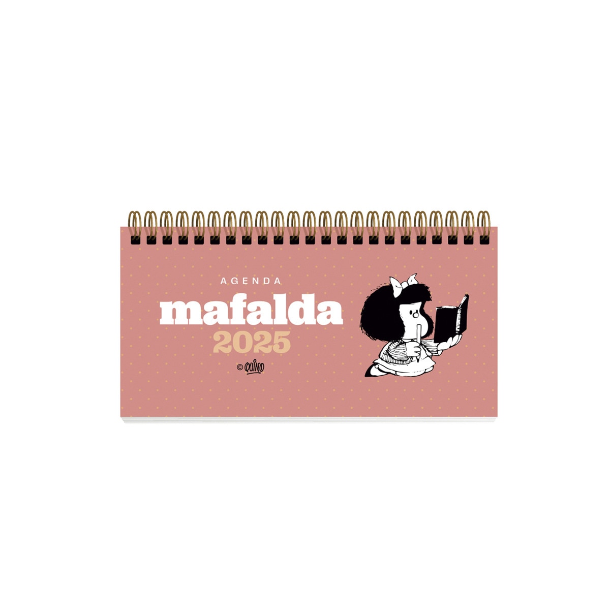 Mafalda 2025, Pocket 1