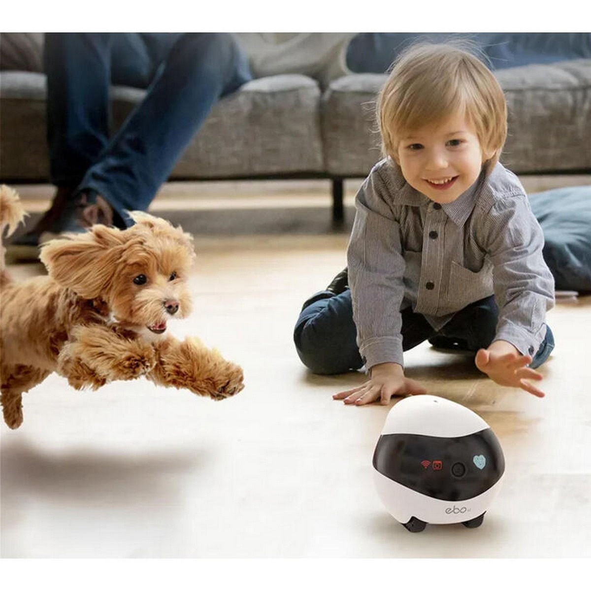 Robô de Companhia Enabot EBO SE 32GB - Branco 7
