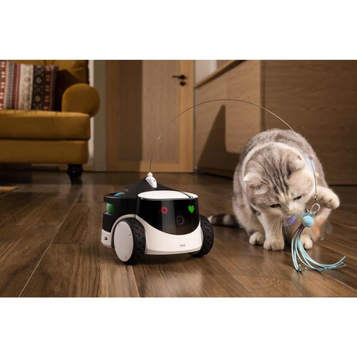 Robô de Companhia Enabot Rola Petpal 32GB- Branco 6