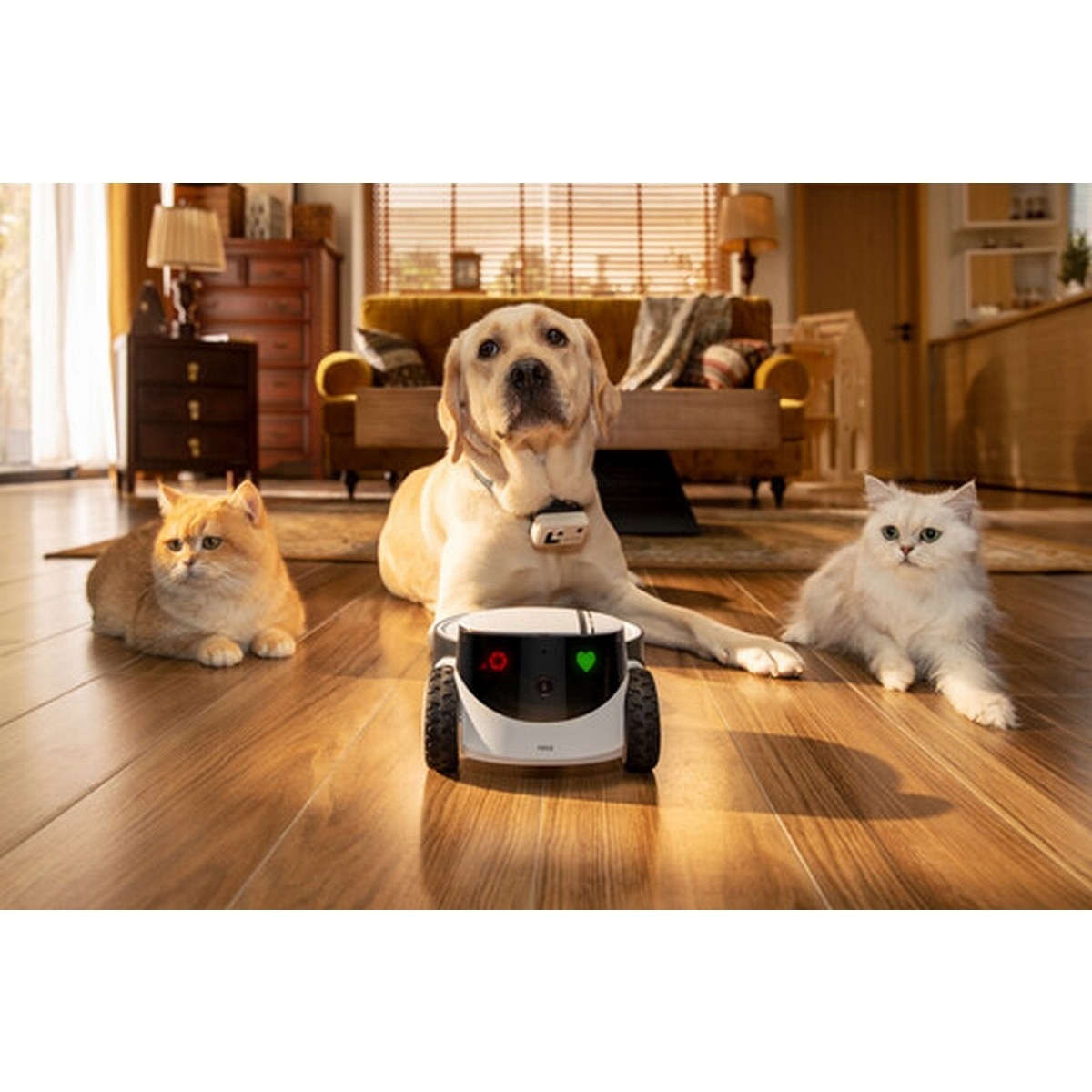 Robô de Companhia Enabot Rola Petpal 32GB- Branco 7