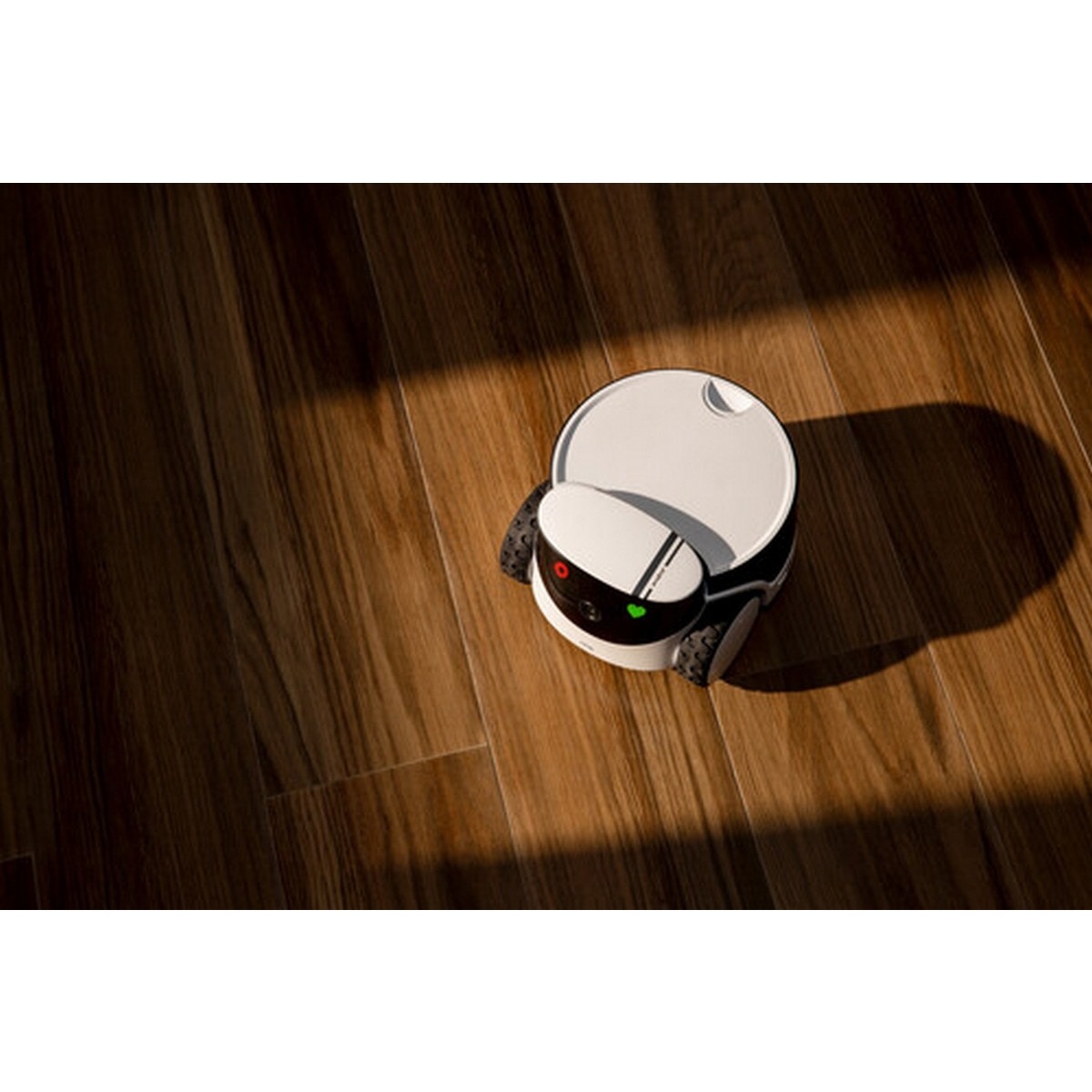 Robô de Companhia Enabot Rola Petpal 32GB- Branco 8
