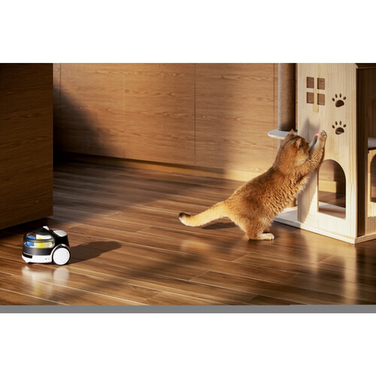 Robô de Companhia Enabot Rola Petpal 32GB- Branco 10