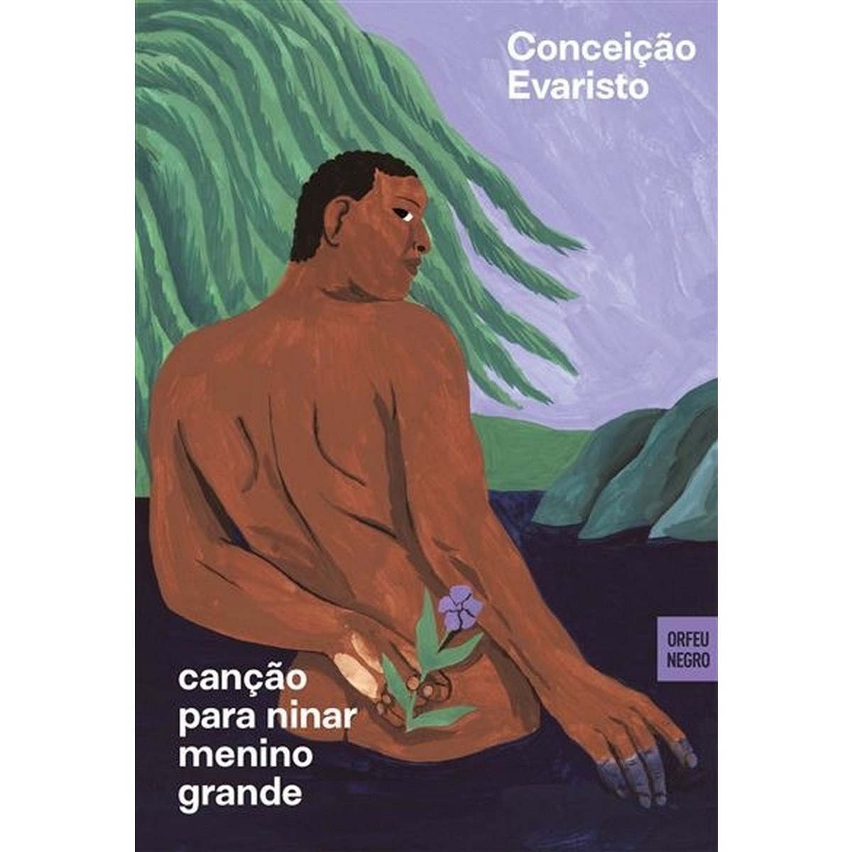 Canção para Ninar Menino Grande 1