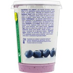 Organic yogurt with blueberries on the bottom container 500 g