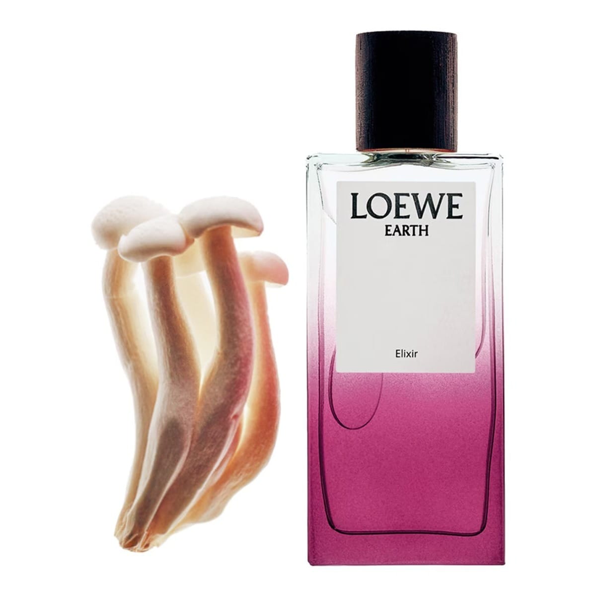 Eau de Parfum Earth Elixir 4