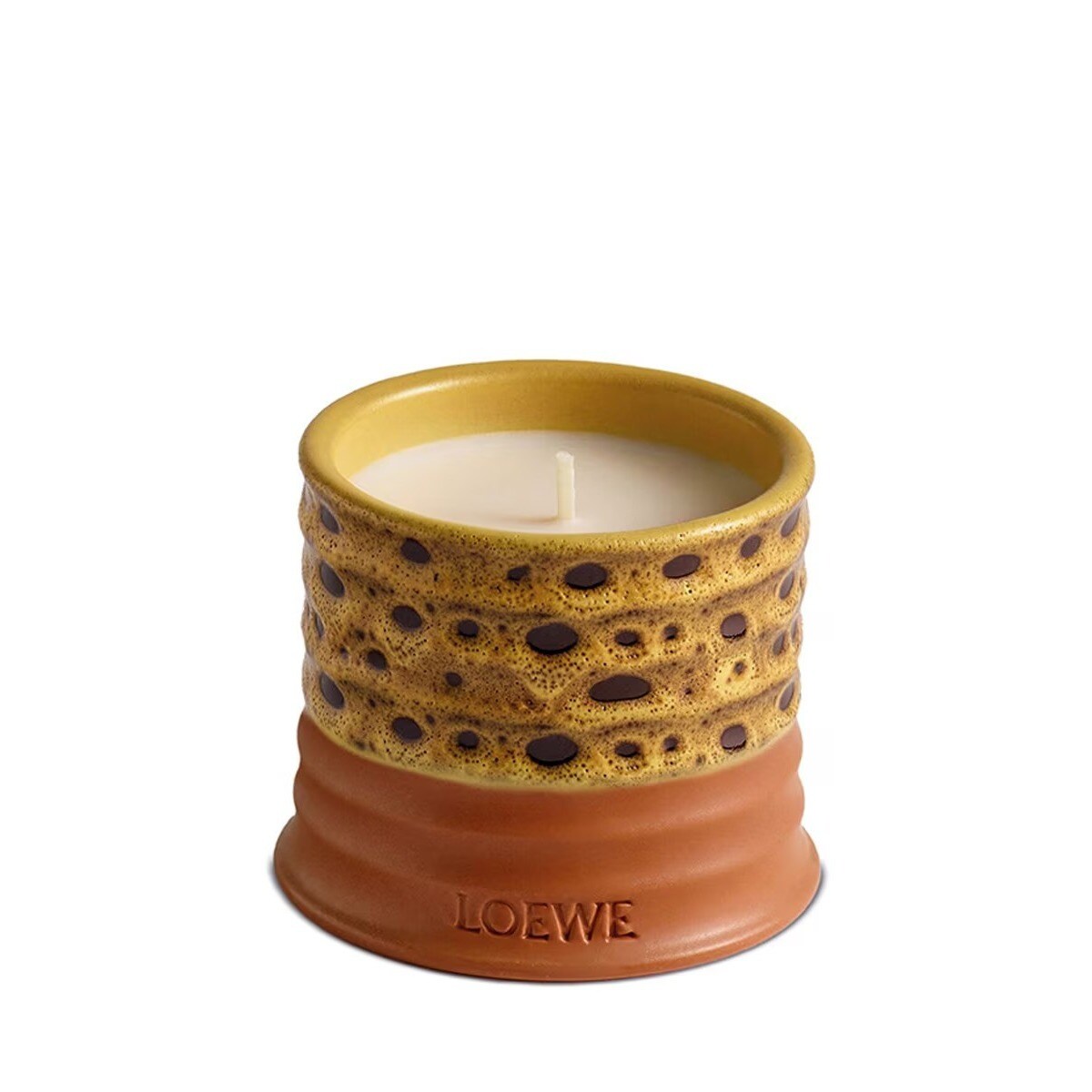 Vela Home Scents Textura Dendrochilum Magnum Orchid 1