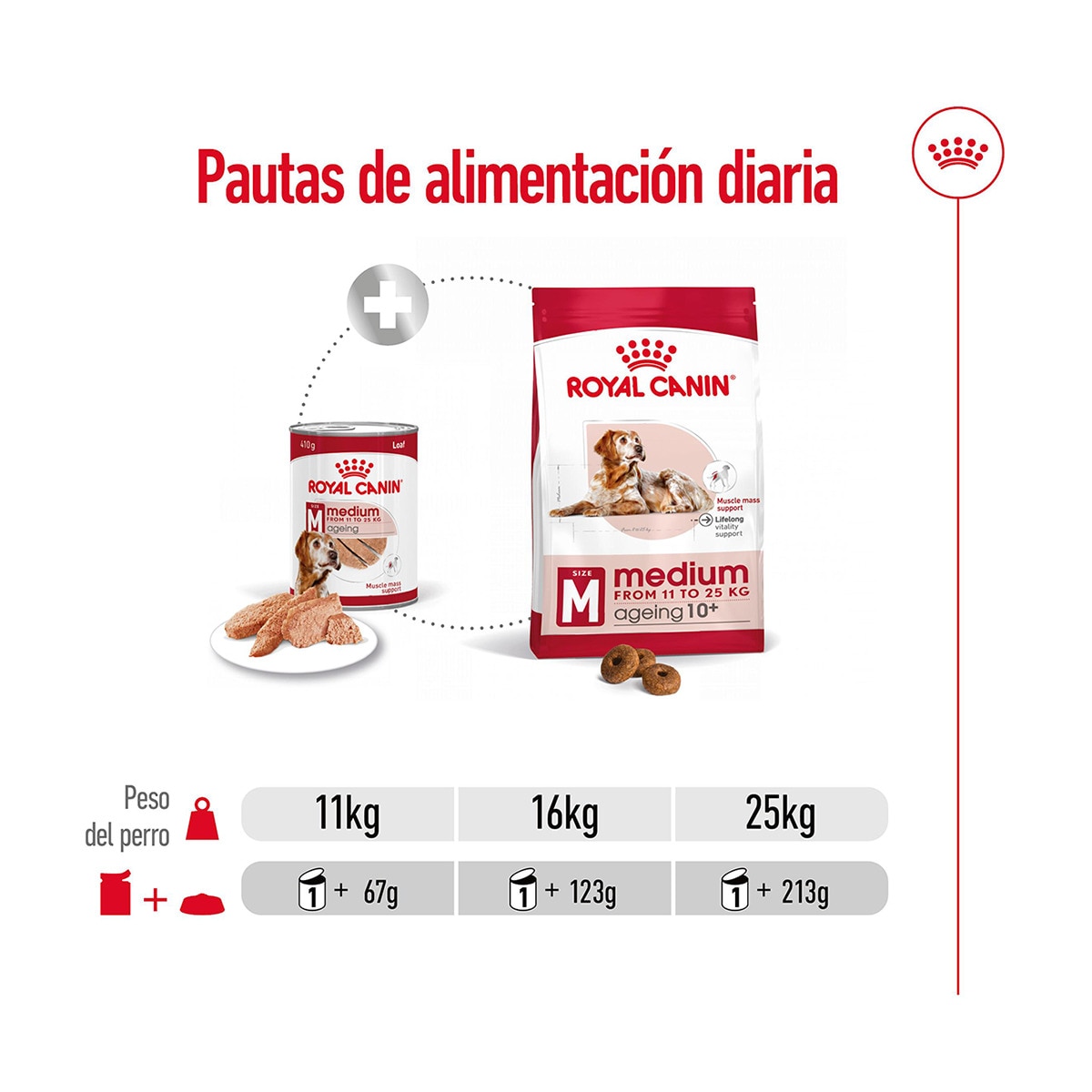 Comida húmeda para perros adultos y sénior Royal Canin Ageing +7 paté 410 g 3