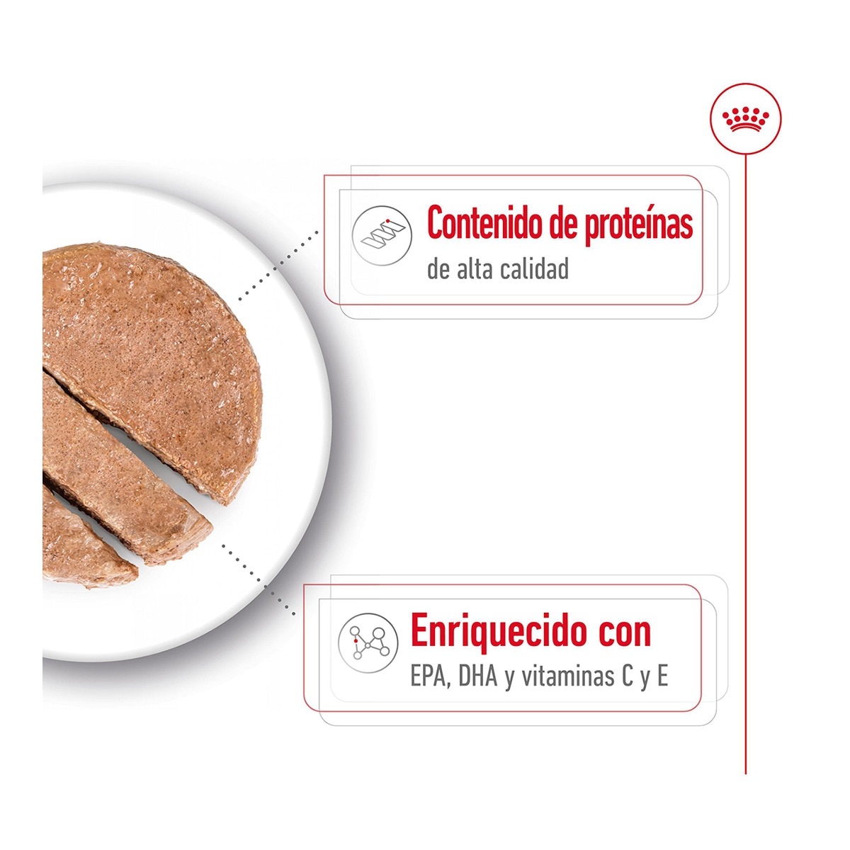 Comida húmeda para perros adultos y sénior Royal Canin Ageing +7 paté 410 g 2