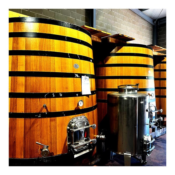 Rotwein Herkunftsbezeichnung Bierzo Flasche 75 cl