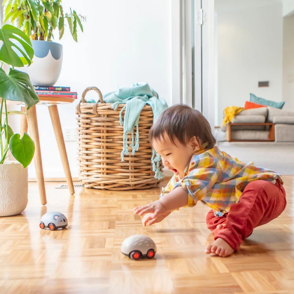 Pull-Backs - Aussie Animals 3