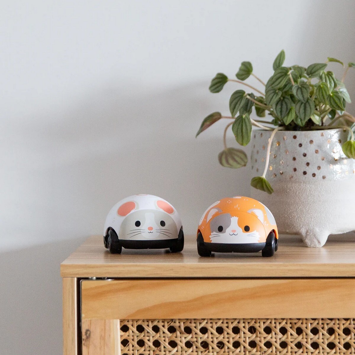 Pull-Backs - Gato e Rato 5