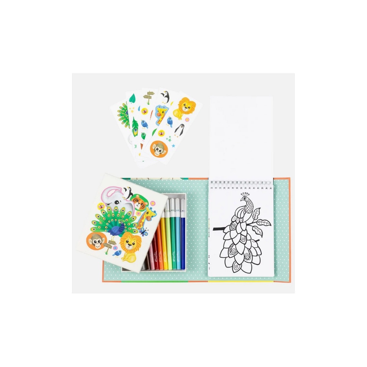 Caixa de colorir  zoo tiger tribe 4