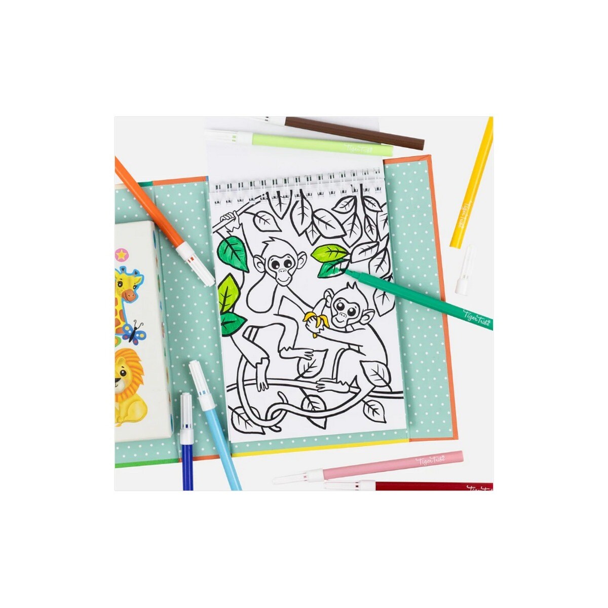 Caixa de colorir  zoo tiger tribe 2