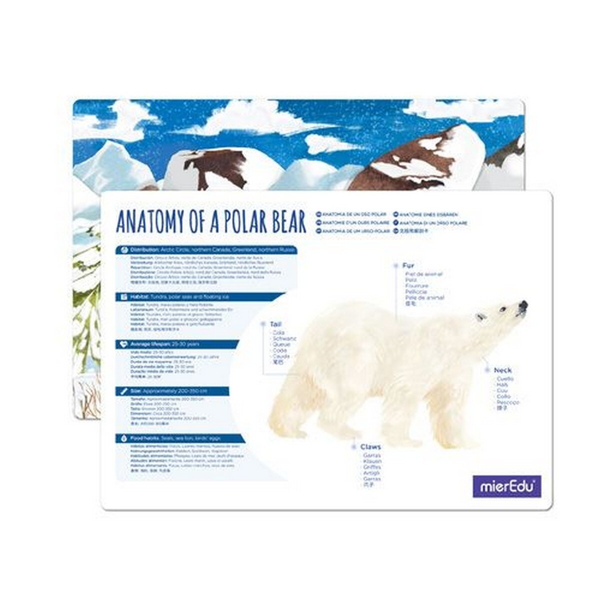 Puzzle Eco 3D MierEdu Urso Polar 130 Peças 8