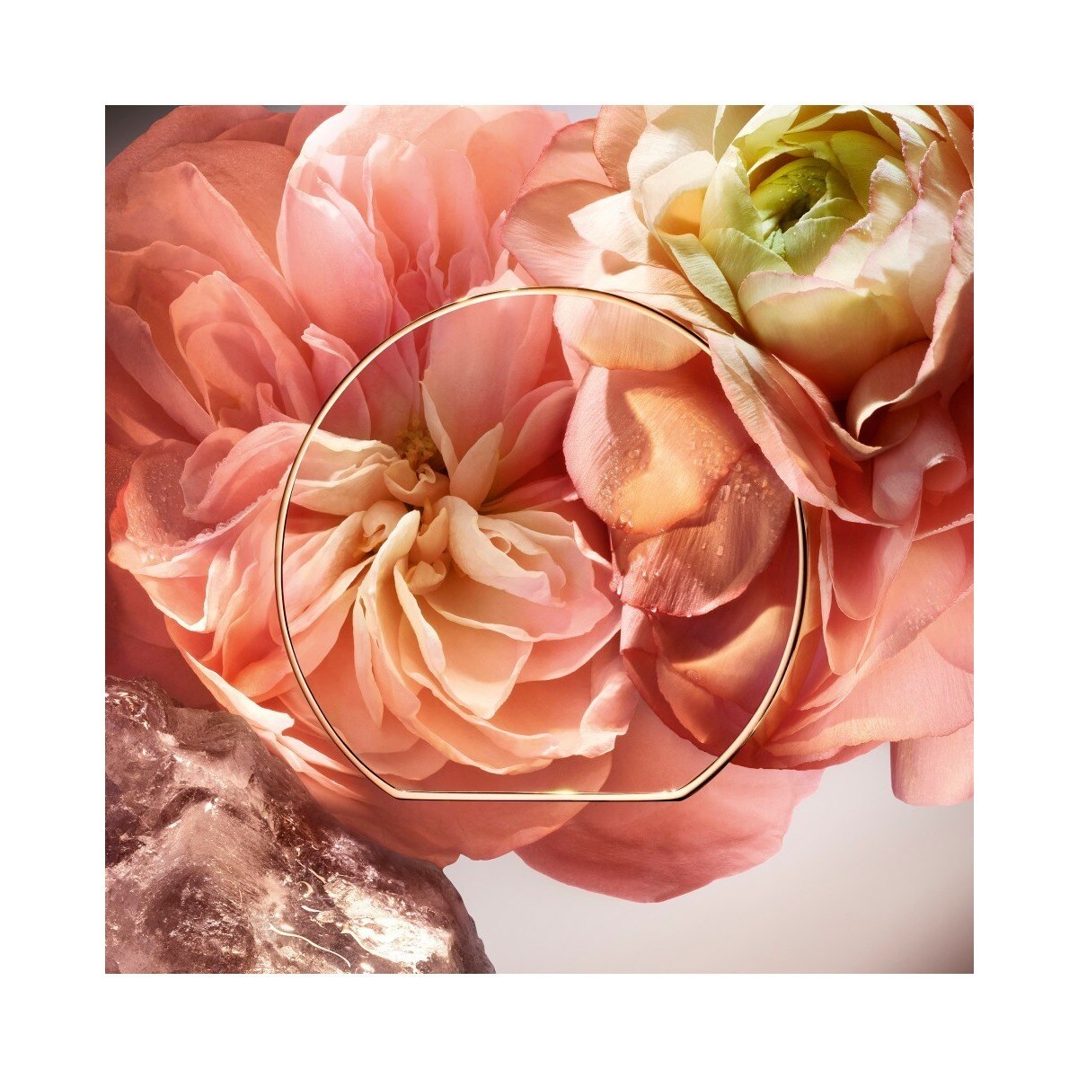 1001 Roses Absolue Les Parfums Eau de Parfum 3