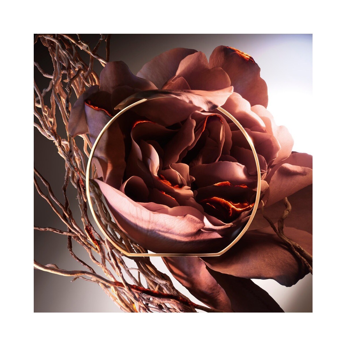 Hell Of A Rose Absolue Les Parfums Eau de Parfum 3