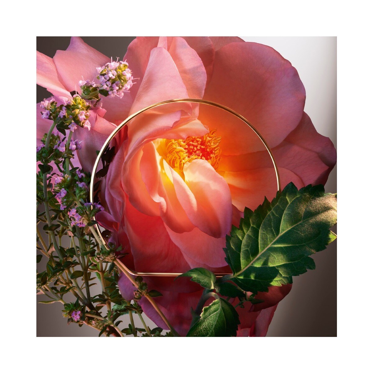 Hot As Rose Absolue Les Parfums Eau de Parfum 3