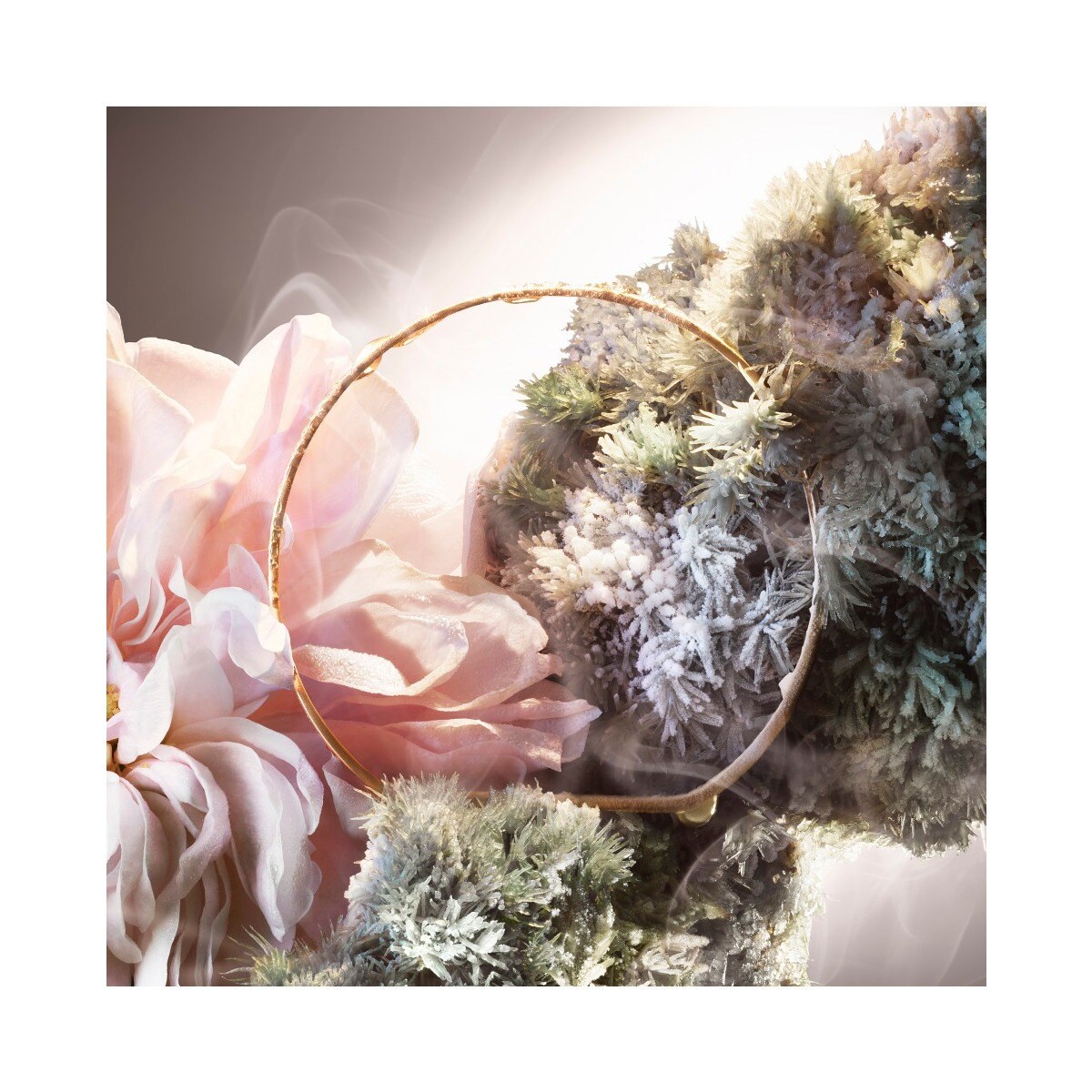 Not Your Rose Absolue Les Parfums Eau de Parfum 3