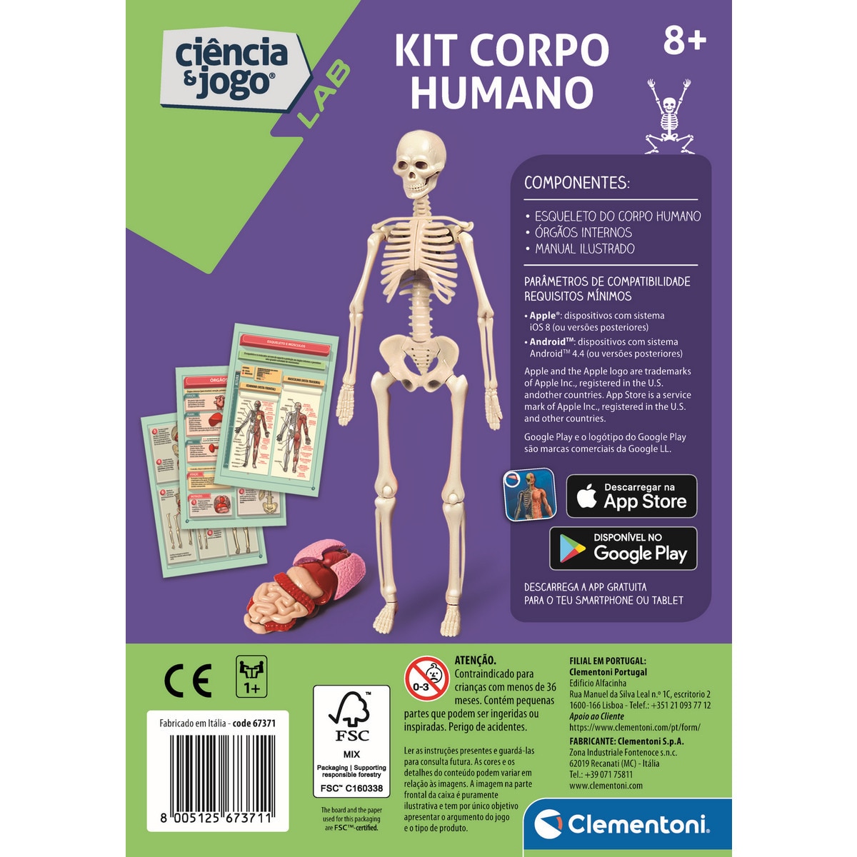 Kit Corpo Humano 2