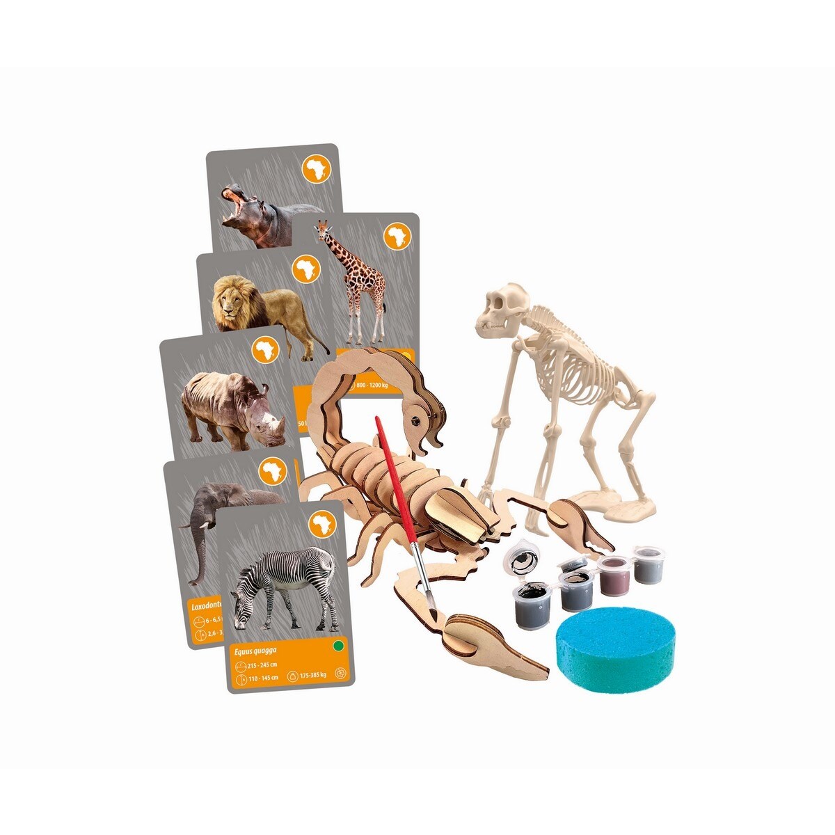 Animais do Planeta Terra 8
