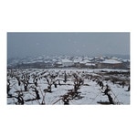 vino tinto de paraje Eras de la Ermita botella 75 cl