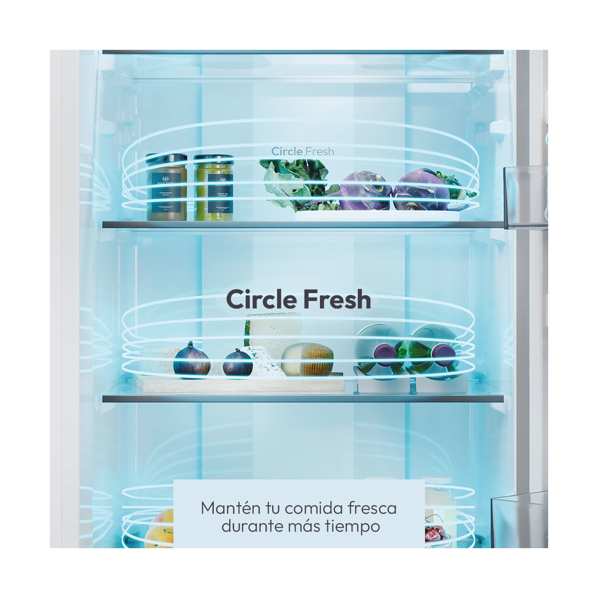 Frigorífico combi Candy Total No Frost Circle+ 2m de alto Fresco - CNCQ2T620EX Inox-5