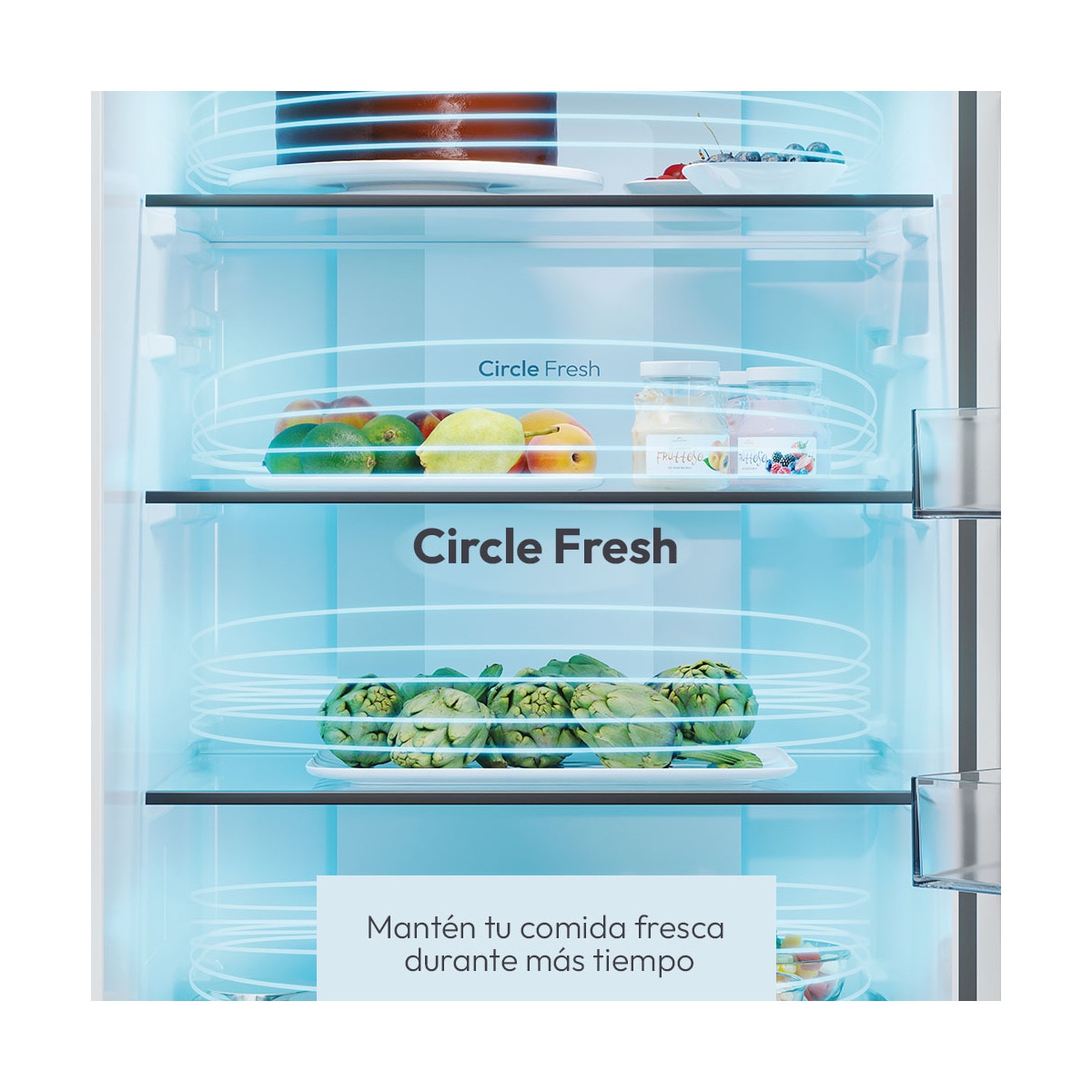Frigorífico combi Candy Total No Frost Fresco 300 - CNCQ2T620EB Negro-11