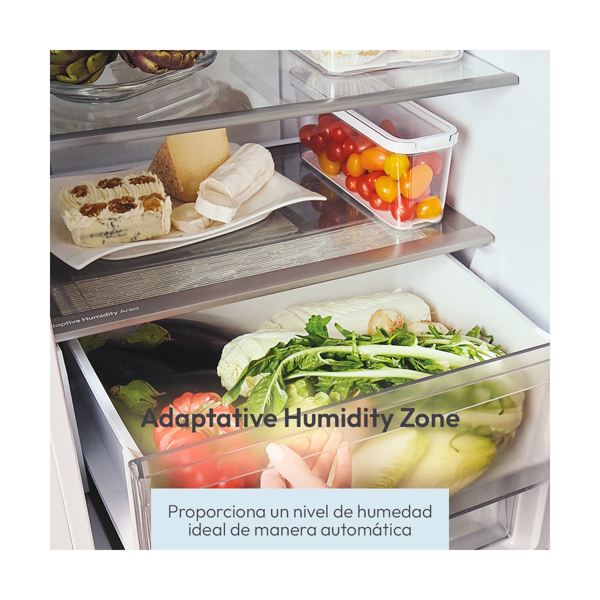 Frigorífico combi Candy Total No Frost Fresco 300 - CNCQ2T620EB Negro-9
