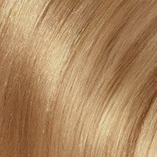 8.30 blond clair doré (Rubio Dorado) 8.30 blond clair doré (Rubio Dorado)