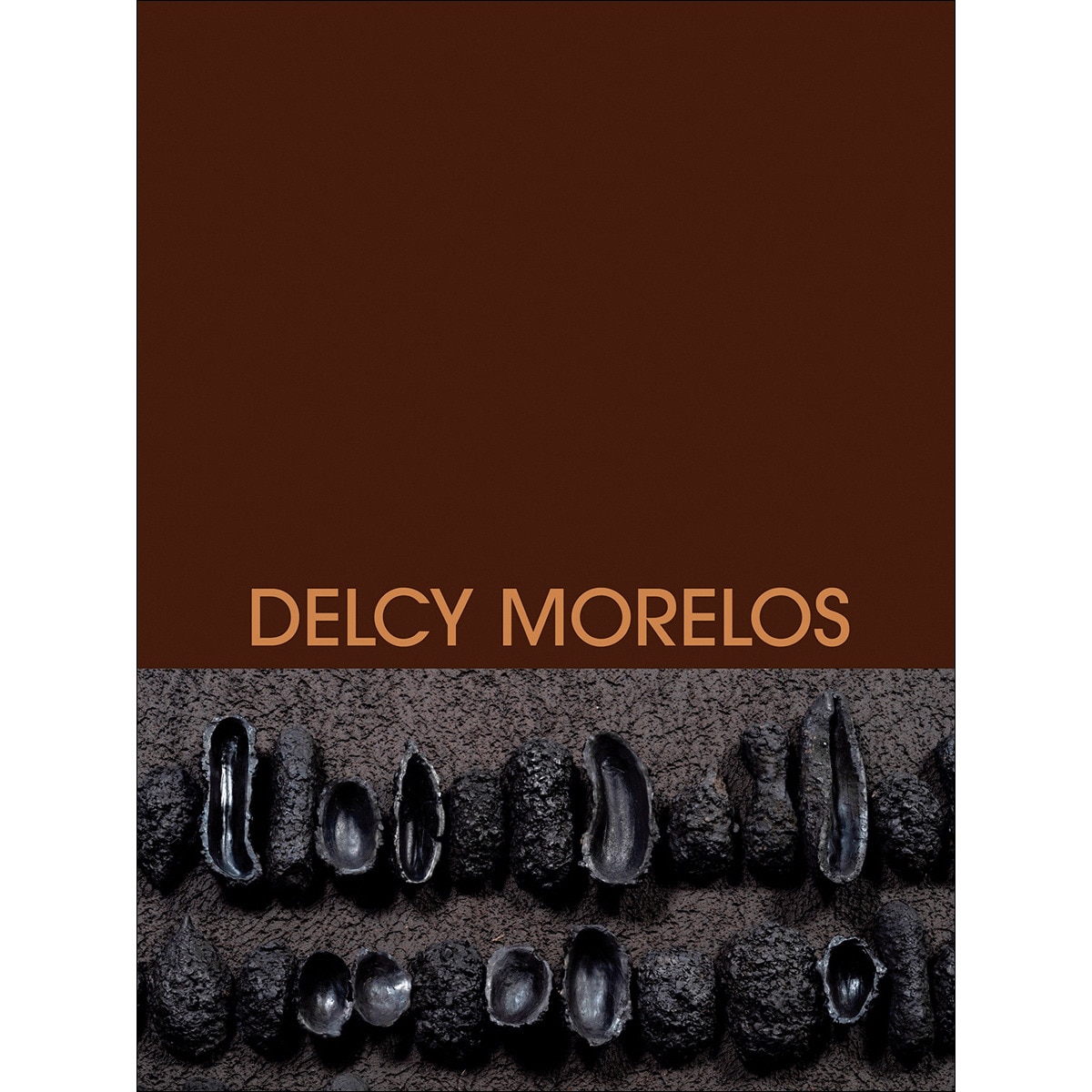 Delcy Morelos (Capa dura) 1