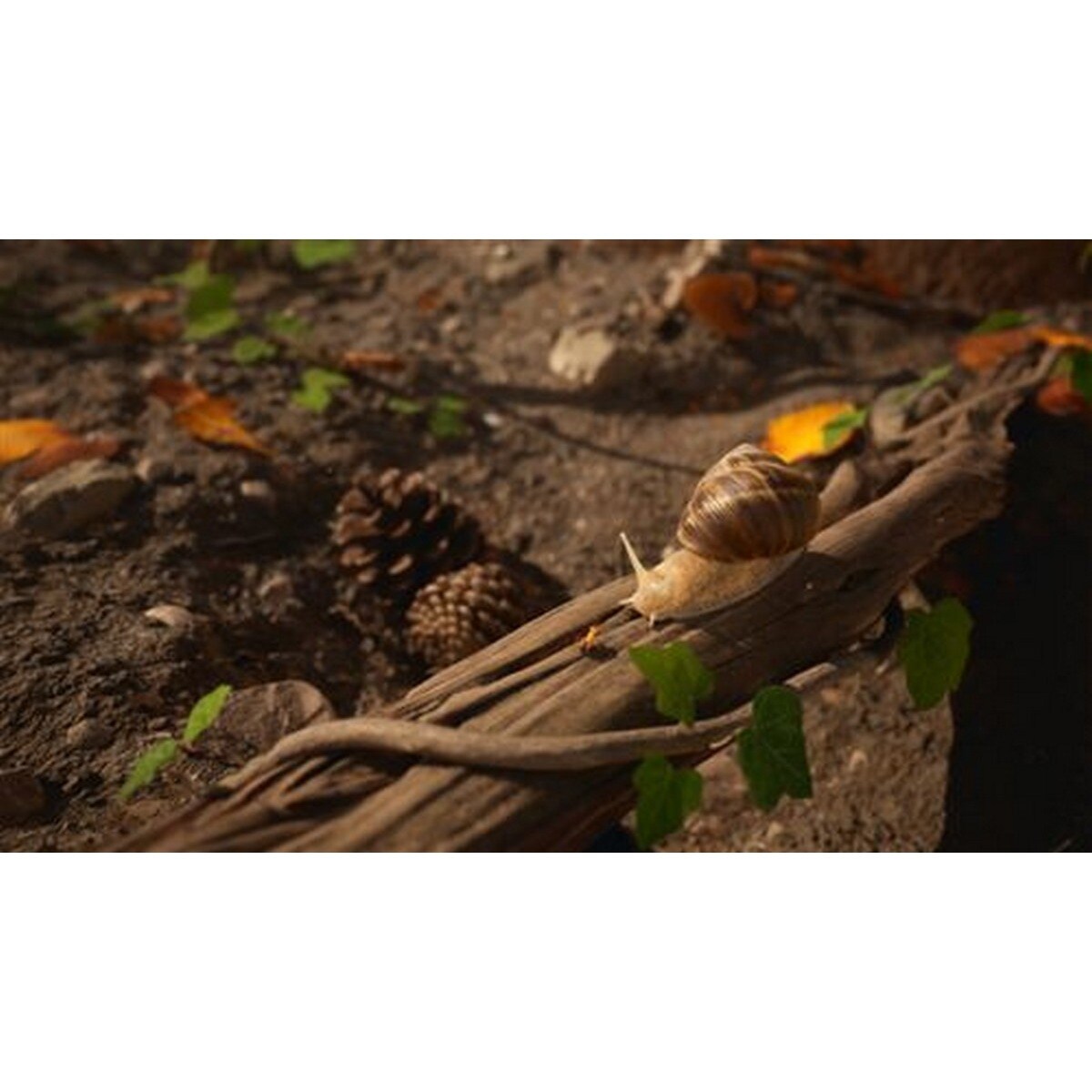 Empire Of The Ants: Limited Edition - PlayStation 5 6