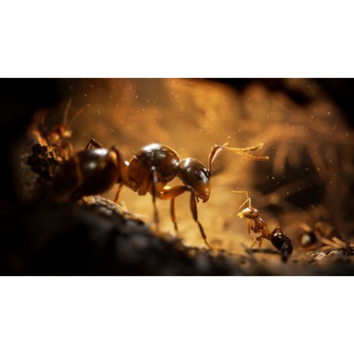 Empire Of The Ants: Limited Edition - PlayStation 5 2